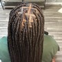 Medium Box Braids