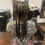 Kid's Braids (12yr and under) with extensions