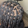 Natural Twists