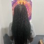 Passion Twists/Island twists/ Boho Twists