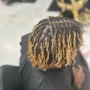 Starter locs