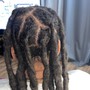 Loc Re-twist(past mid-back)