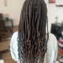 Feed in Braids 14-17