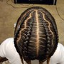 Tree Braids