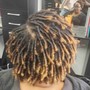 Root Touch Up