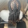 Dread Retwist/Two Strand twist (mid back)