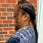 Medium Braided Ponytail