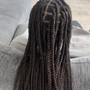 Medium Box Braids