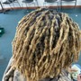 Loc Maintenance