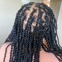 Natural Twists