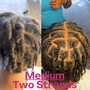 Fulani Braids Smedium