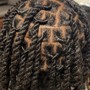 Passion/ Marley twist over locs