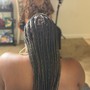 Individual Braids