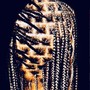 Poetic Justice Braids