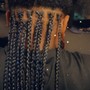 Box Braids