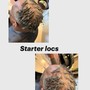 Starter Dreadlocks