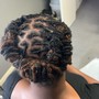 Root Touch Up