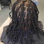 Ombre locs or twist