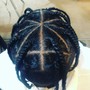 Sister locs retwist