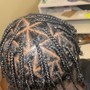 Two Strand Twists