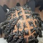 Starter Locs