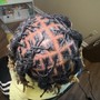 Starter Locs