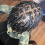 Starter Locs