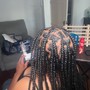 Poetic Justice Braids