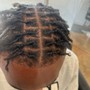 Knotless Braids (Large)