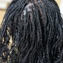 Traditional Starter Locs (coils)