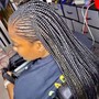 Lemonade Feed-in Braids