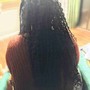 Micro Ring Extensions