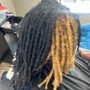 Starter Dreadlocks