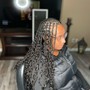 2 Butterfly French Curl Braids