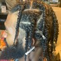 Starter Locs