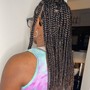 NUBIAN TWISTS