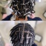 Starter Locs