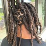 Dreadlock Coloring (Below Ear to Shoulder length)