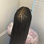 Box Braids (small) (hair included)