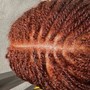 Micro Locs Twist with Natural Hair