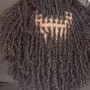 Natural Coils