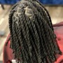 Wash + Retwist + style