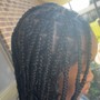 Spring Twists