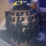 Loc Maintenance Retwist