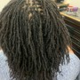 Loc Maintenance Detangle ( add on )