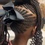 Kids braid Styles