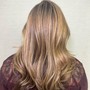 Partial Highlights & Toner