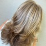 Partial Highlights & Toner