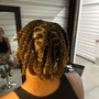 Starter locs