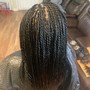 Medium Box Braids midback